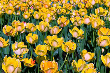 Similar image 21071662