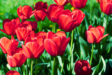 Similar image 21055494