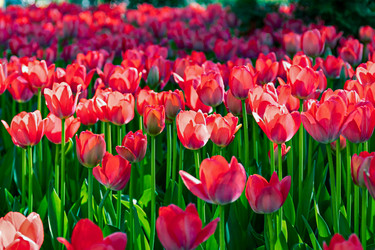 Similar image 21055496