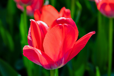 Similar image 21055499