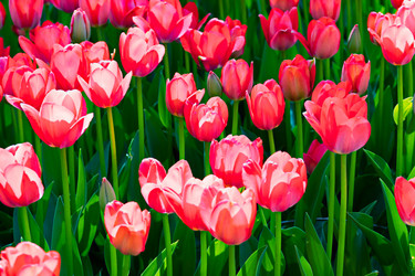 Similar image 21055500