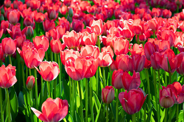 Similar image 21055502