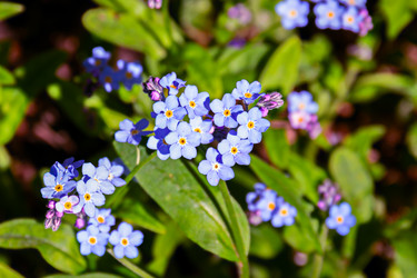 Similar image 21060993