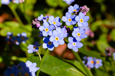 Similar image 21060995