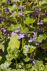 Similar image 21060997