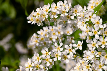 Similar image 21060998