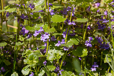 Similar image 21060999