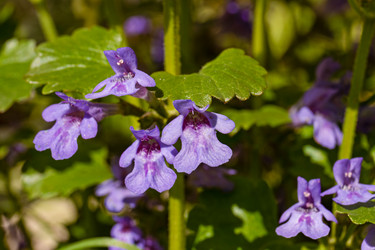 Similar image 21061000