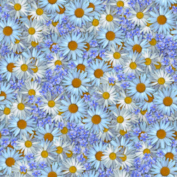 Similar image 21061002