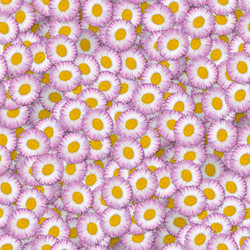 Similar image 21061005