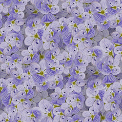 Similar image 21061007