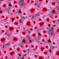 Similar image 21061009