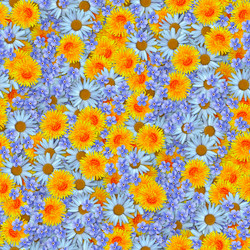 Similar image 21061011