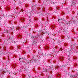 Similar image 21061013