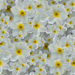 Similar image 21061017