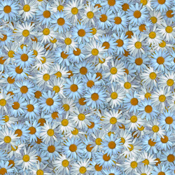 Similar image 21061018