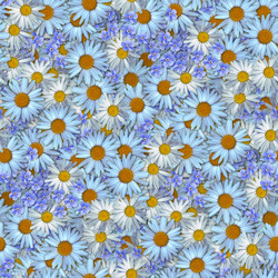 Similar image 21061019