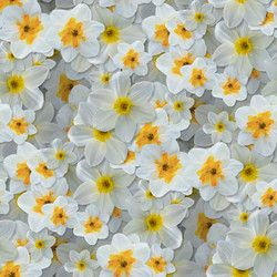 Similar image 21061021