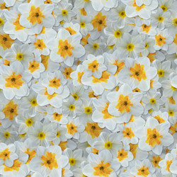 Similar image 21061022