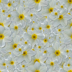 Similar image 21061024