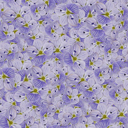 Similar image 21061026