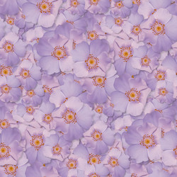 Similar image 21061027