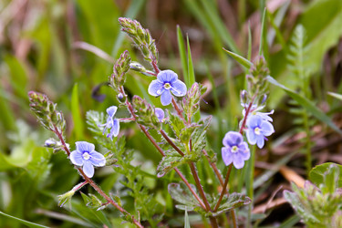 Similar image 21061028