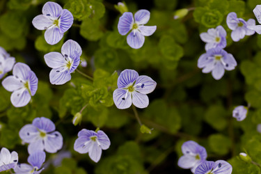 Similar image 21061031