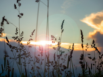 Similar image 21061034