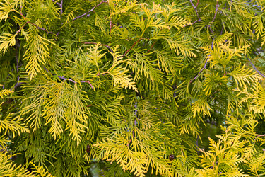 Similar image 21061035