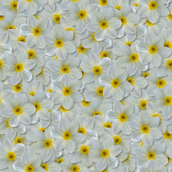 Similar image 21061036