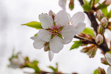 Similar image 21061039