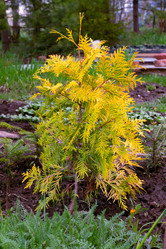 Similar image 21067544