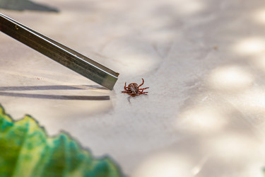 Similar image 21067545