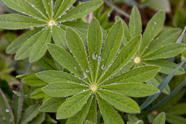 Similar image 21067546