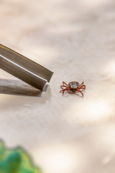 Similar image 21067547