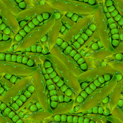 Similar image 21067550