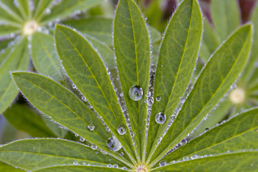 Similar image 21067551