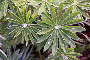 Similar image 21067553