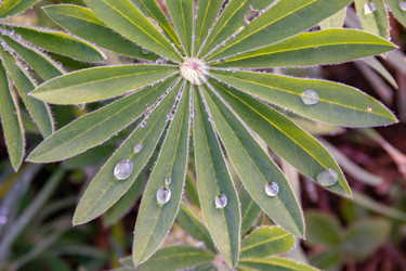 Similar image 21067554