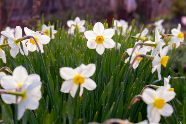 Similar image 21067555