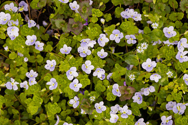 Similar image 21067556