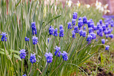 Similar image 21067557