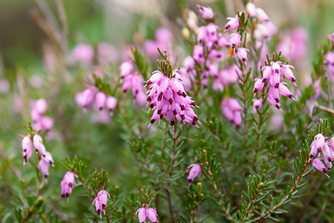 Similar image 21067558