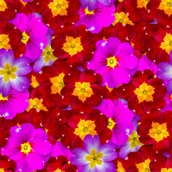 Similar image 21067561