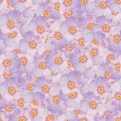 Similar image 21067563