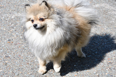 Similar image 21034273