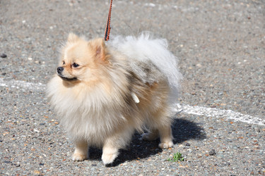 Similar image 21034274