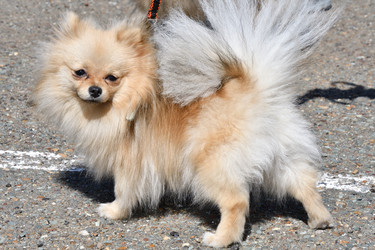 Similar image 21034275