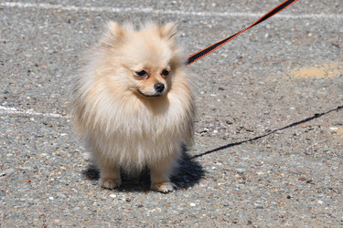 Similar image 21034276